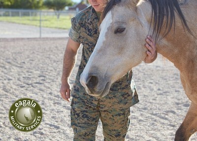 Eagala's Military Services Designation sets the global standard for equine-assisted psychotherapy for active military, reserves, veterans and their families.