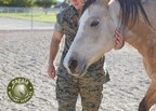 Veterans Administration provides $637,700 for Equine-Assisted Mental Health Services to Veterans and Service Members through Eagala Military Services Designated Programs Across the United States