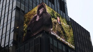 In NY's Times Square, Mountain Gorillas Tell Us to Save the Planet, "Save Me."