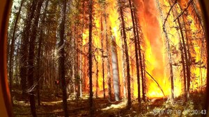 RS Composite Pole and Fire Shield™ Successfully Endure Forest Fire