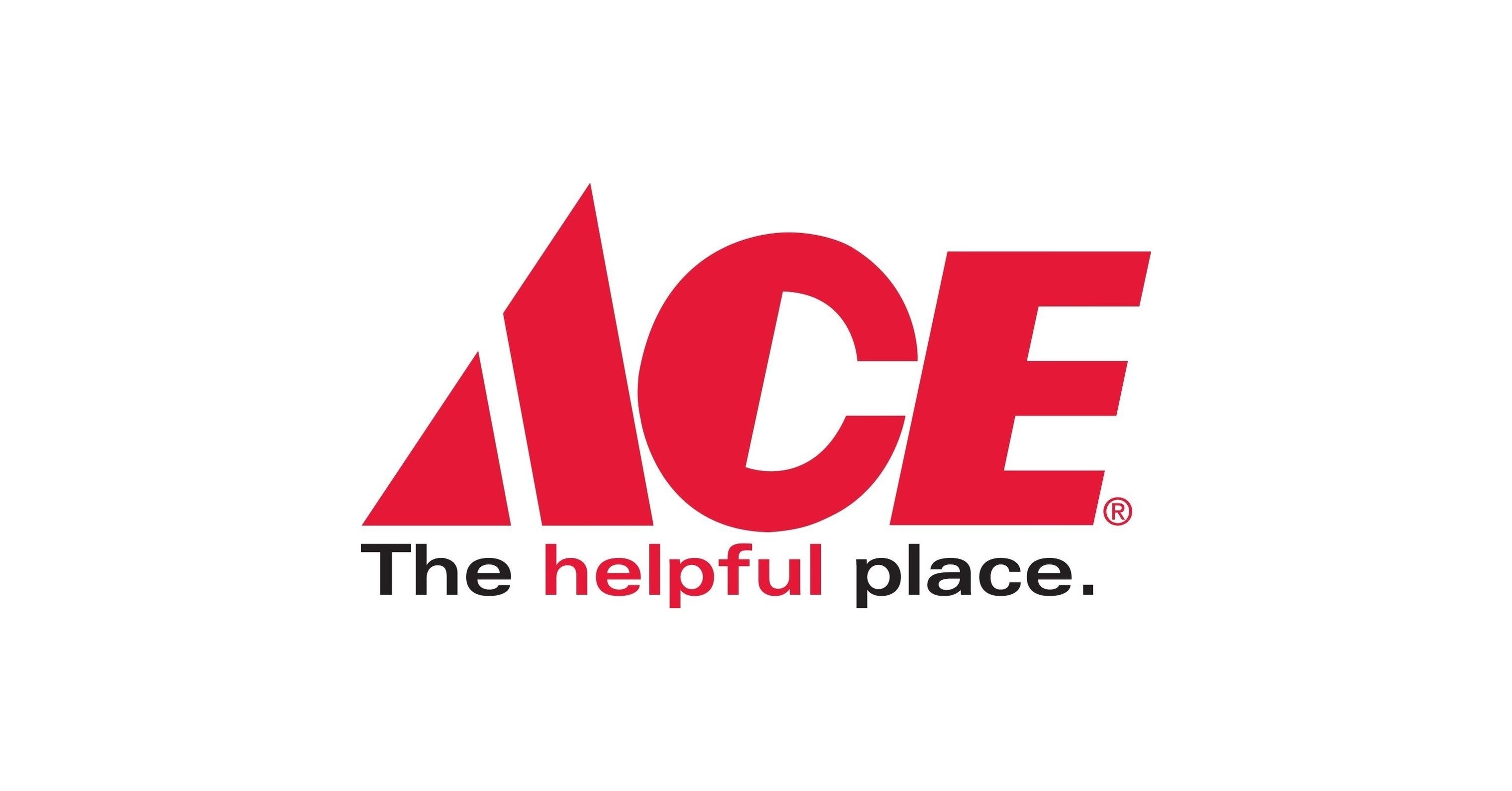  Ace Hardware  Challenges Customers to Think Outside the 