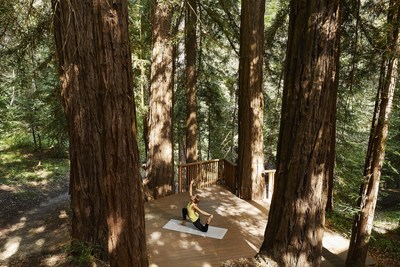 A redwood tree fairy ring invites guest for reflection and relaxation at Canyon Ranch Wellness Retreat – Woodside, now open in Woodside, Calif. Photo by Aubrie Pick. A redwood tree fairy ring invites guest for reflection and relaxation at Canyon Ranch Wellness Retreat – Woodside, now open in Woodside, Calif. Photo by Aubrie Pick.