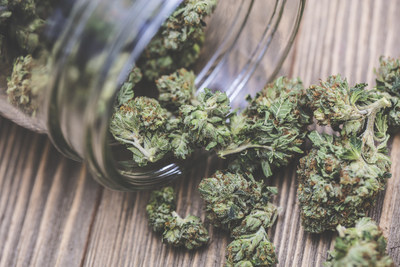  Cannabis et ses drivs en milieu de travail , une nouvelle formation offerte par l'ITHQ, en collaboration avec l'Association des hteliers du Qubec. (Groupe CNW/Institut de tourisme et d'htellerie du Qubec)
