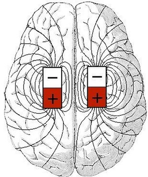 Neuroscience Researcher Todd Murphy Says: Consciousness is the Subjective Experience of the Brain's Magnetic Fields