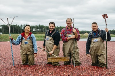 From left to right; Chefs Irene Li of Mei Mei, Will Gilson of Puritan & Company, Evan Mallett of Black Trumpet, and Liam Luttrell Rowland of Spindler’s join forces as Ocean Spray’s new Cranberry Chef Collective, kicking off the collaboration by learning how to harvest Ocean Spray® Cranberries at a cranberry bog in Carver, MA.