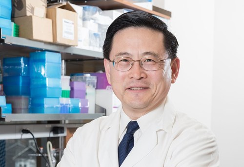 Dr. Wang discovers new way to reduce sepsis inflammation