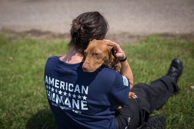 A new holiday fundraising challenge benefiting American Humane will make it possible for every donation to help twice as many animals in need.