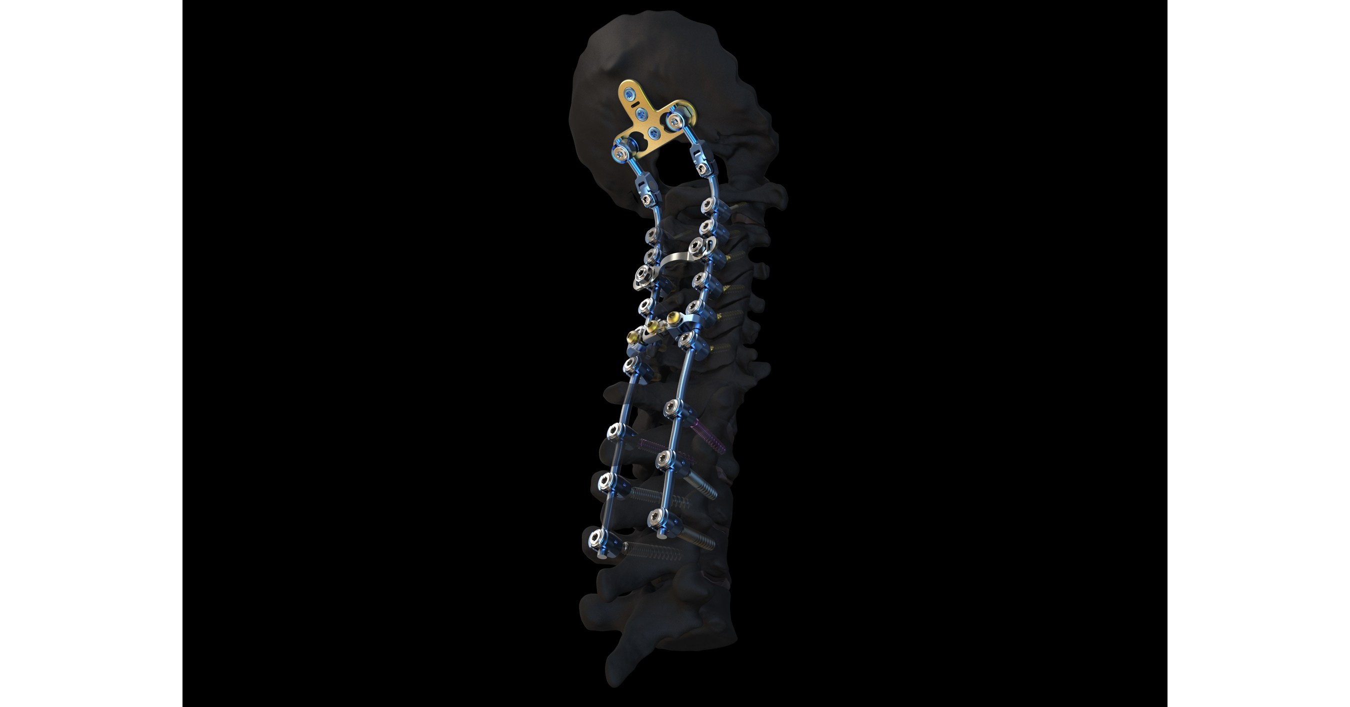 Bone Science & Functions, DePuy Synthes