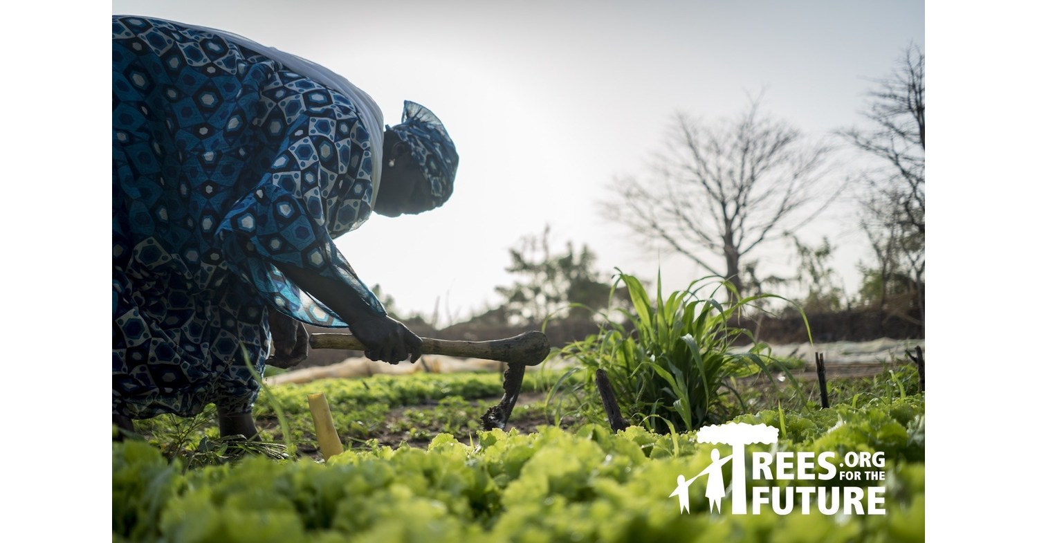 Miami Based StartUp FluidFreeRide is Partnering with Trees for the