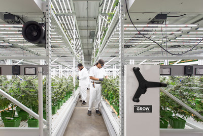 Spacesaver's GROW Mobile System saves space, improves efficiency, and increases yields in indoor cannabis grow facilities. The system optimizes space vertically and horizontally with racking that moves along rails installed in or on top of the floor. Learn more at spacesaver.com/GROW.