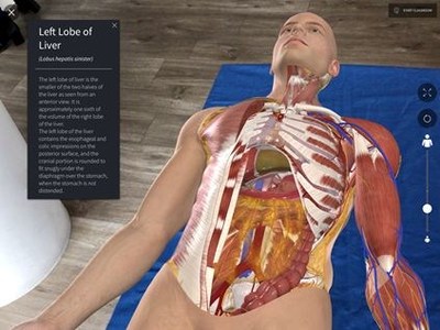 A 3D anatomy image from 3D4Medical's Complete Anatomy. Elsevier, part of RELX PLC, announced Wednesday morning that it had acquired 3D4Medical, a Dublin-based company.