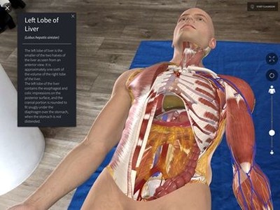 Elsevier_3D4Medicals_Anatomy_1