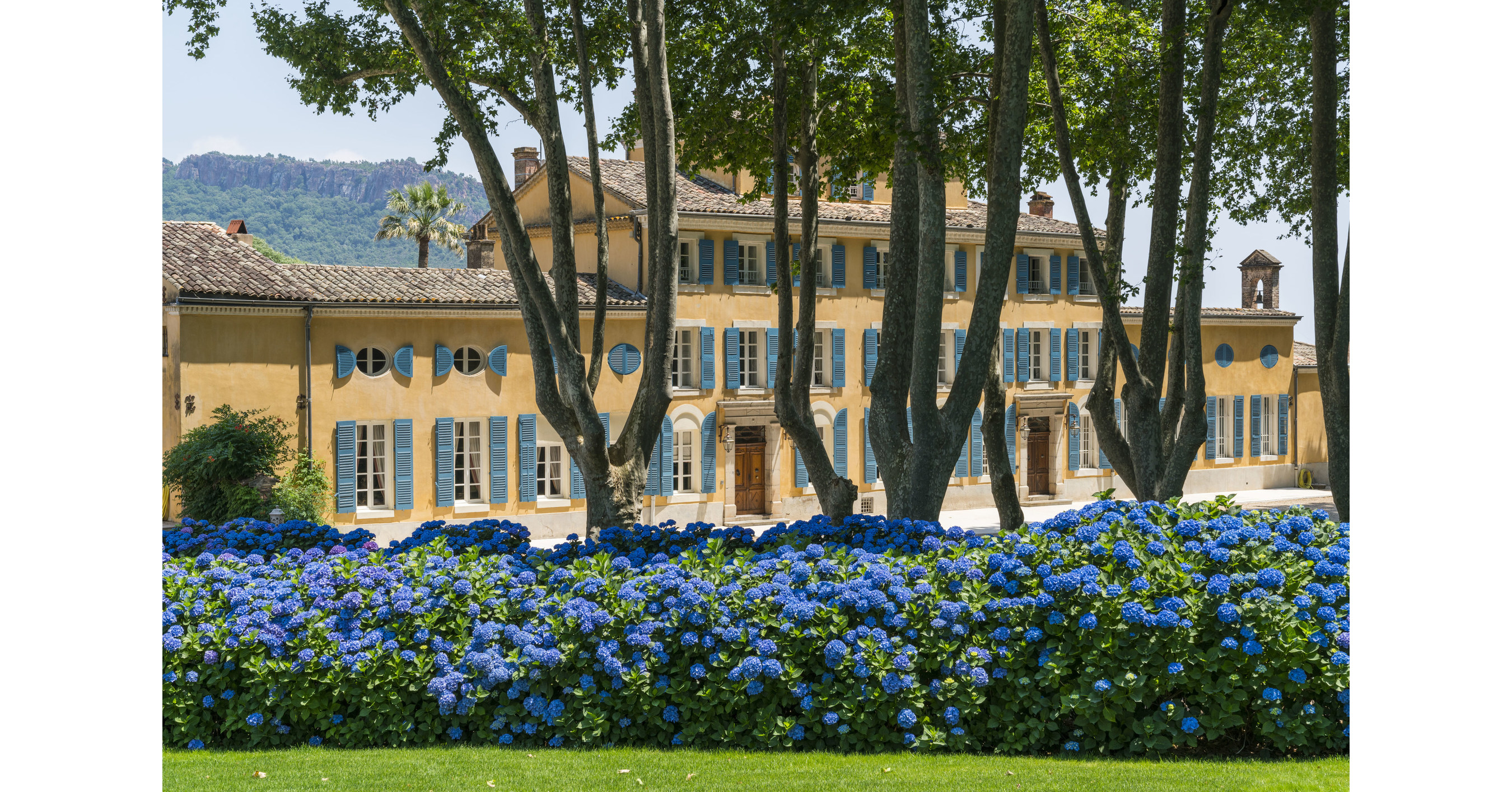 Moët Hennessy acquires majority stake in Château d'Esclans  Côtes-de-Provence