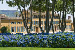 Château d'Esclans Côtes-de-Provence: The World Leader in Luxury Rosé Wines Joins Moët Hennessy