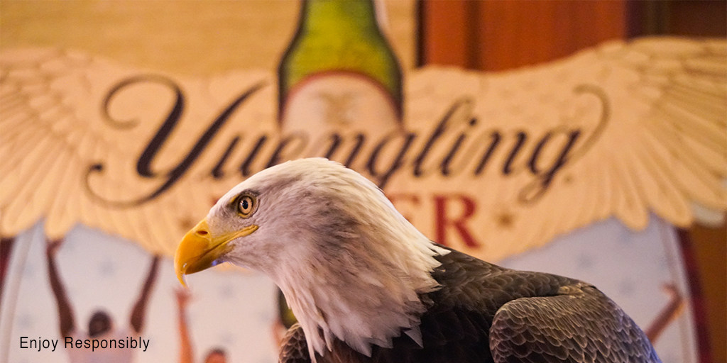 Yuengling Partners With American Eagle Foundation To Protect