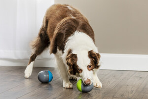 PetSafe® Ricochet Electronic Dog Toy Honored with Pet Business Industry Recognition Award