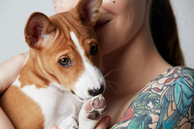 Grants Fur Families enables domestic violence shelters to offer on-site pet care, eliminating the choice between staying in a dangerous situation and leaving their pet behind.