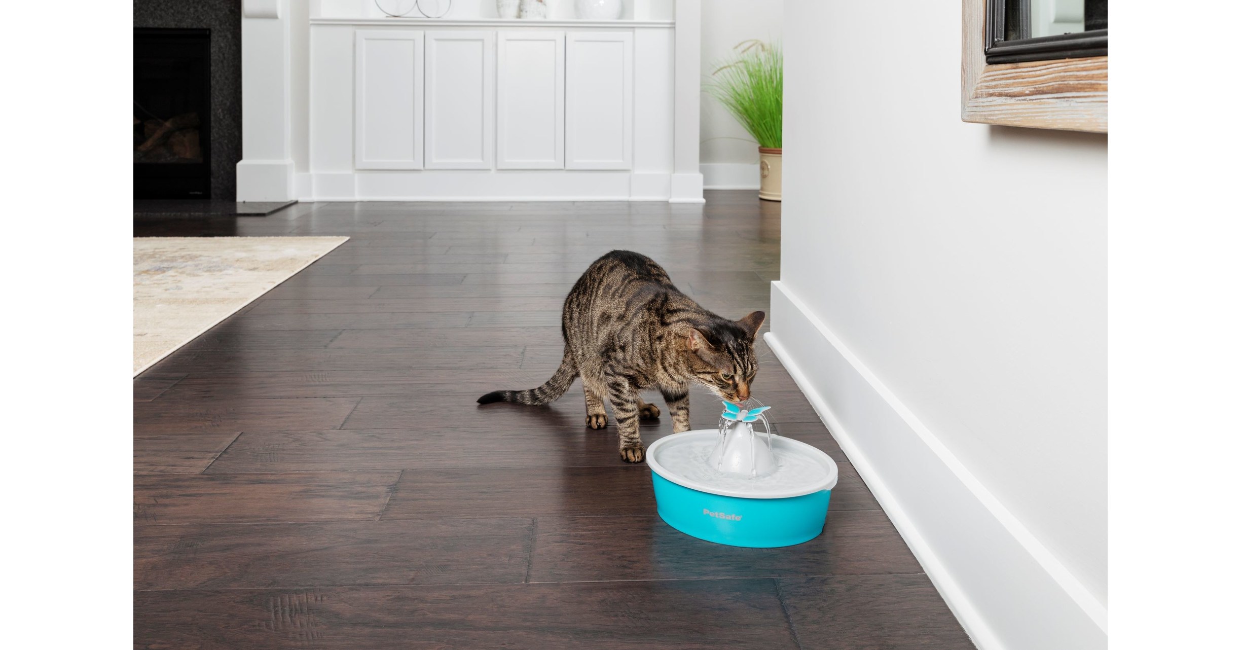 PetSafe® Introduces New Drinkwell® Butterfly Fountain Just in Time for