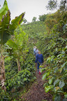 New Sustainability Report from S&amp;D Coffee &amp; Tea® Demonstrates Significant Progress