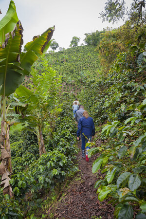 New Sustainability Report from S&amp;D Coffee &amp; Tea® Demonstrates Significant Progress