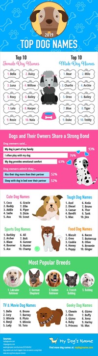 An infographic of the top dog names of 2019 according to My Dog's Name