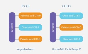 Bunge Loders Croklaan Introduces Betapol® Plus: The Next Generation OPO for Infant Milk Formula