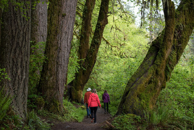 America's State Parks, such as this one in Oregon, are offering First Day Hikes on New Year's Day. Park staff members and volunteers will offer free guided hikes of varying levels of difficulty throughout the day. To find a participating state park near you, go to stateparks.org.