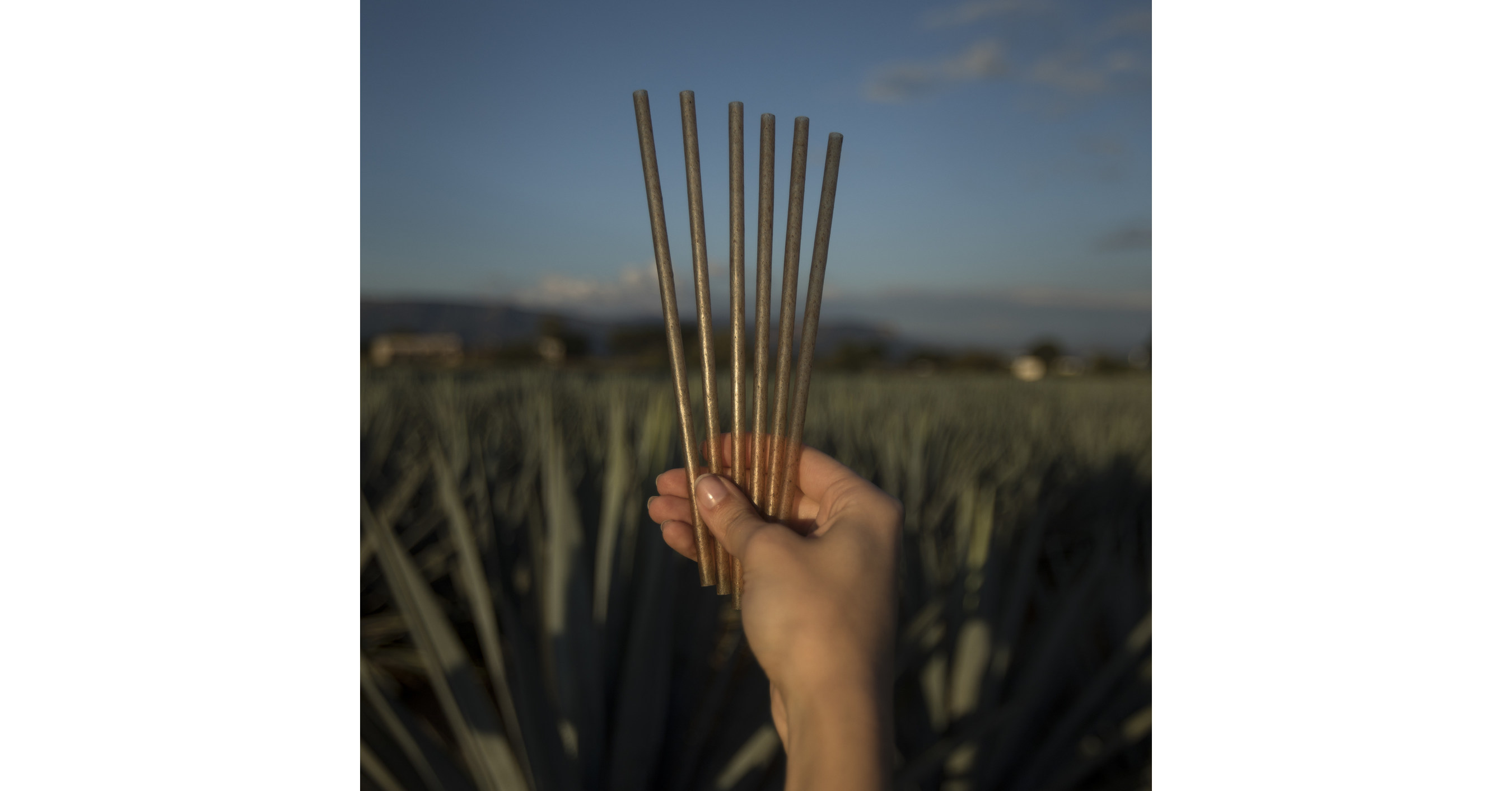 https://mma.prnewswire.com/media/1040129/Jose_Cuervo_Straw.jpg?p=facebook