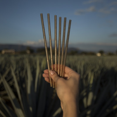 Jose Cuervo unveils first-of-its-kind biodegradable drinking straw made from upcycled agave