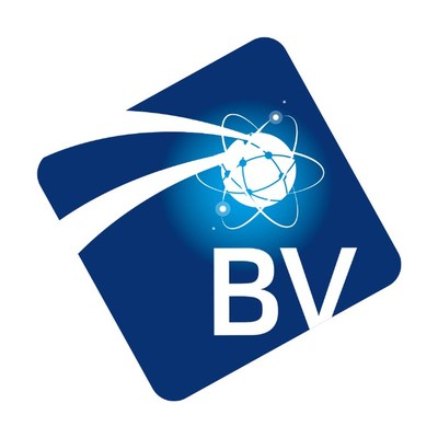 Bluevisor logo