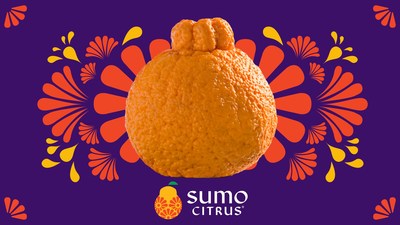 The Mighty Sumo: A Citrus Star on a Mysterious Mandarin Adventure -  SippitySup