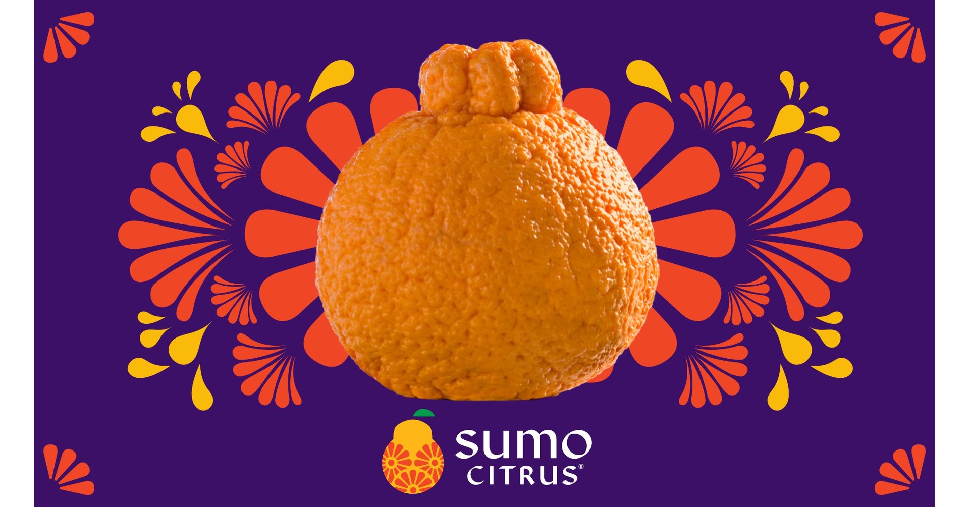 Sumo Citrus (@sumocitrus) • Instagram photos and videos