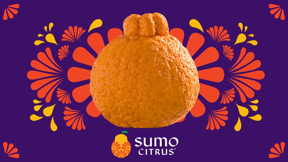 Something Big Is Coming Sumo Citrus Season Is Almost Here