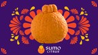 Something Big Is Coming... Sumo Citrus® Season Is Almost Here