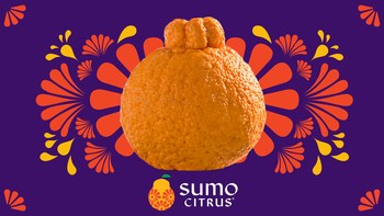 2020 Sumo Citrus Season