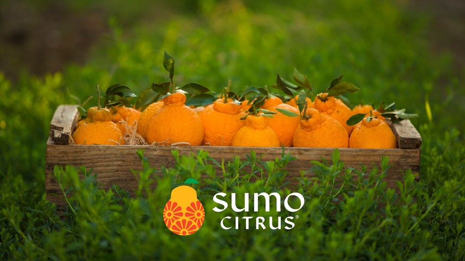 Something Big Is Coming... Sumo Citrus® Season Is Almost Here