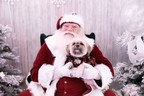 PetSmart® Canada Hosts Free Pet Photos With Santa