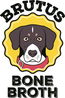 giving dogs bone broth