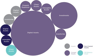 Breakdown of Financial Recording For Cryptoasset Holdings (CNW Group/Chartered Business Valuators Institute)