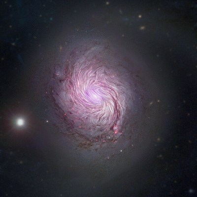 SOFIA studied our galaxy using far-infrared light (89 microns) to reveal facets of its magnetic fields that previous observations using visible and radio telescopes could not detect. This image shows that Magnetic fields in NGC 1086, or M77, align along the entire length of the massive spiral arms ? 24,000 light years across (0.8 kiloparsecs) ? implying that the gravitational forces that created the galaxy's shape are also compressing the galaxy's magnetic field. This supports the leading theory of how the spiral arms are forced into their iconic shape.