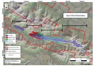 Nickel Creek Platinum Identifies New Geophysical Anomalies at Quill