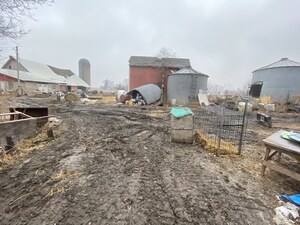 Roadside Zoo Animals Living in Deplorable Conditions Given New Life at The Wild Animal Sanctuary in Colorado