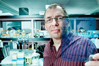 A team led by INRS Professor Patrick Labonté has identified the role of a key process in the replication cycle of the hepatitis D virus, an infection that is still very difficult to cure and affects 15 to 20 million people worldwide. (CNW Group/Institut National de la recherche scientifique (INRS))