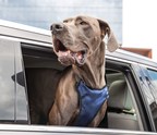 PetSafe® Announces Harness Replacement Program to Promote Car Safety for Pets