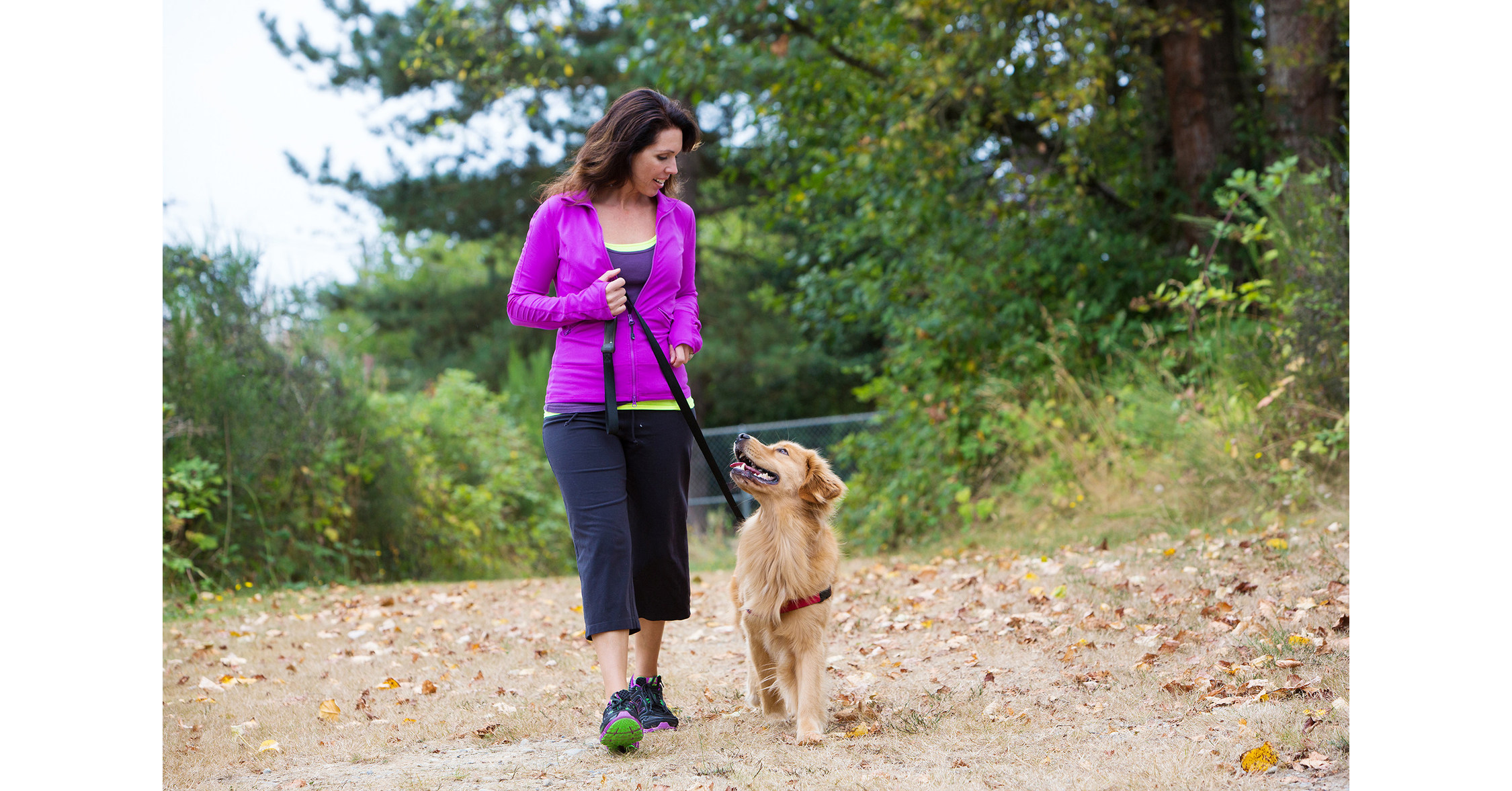 5 Ways to Help Keep Your Dog Happy and Healthy