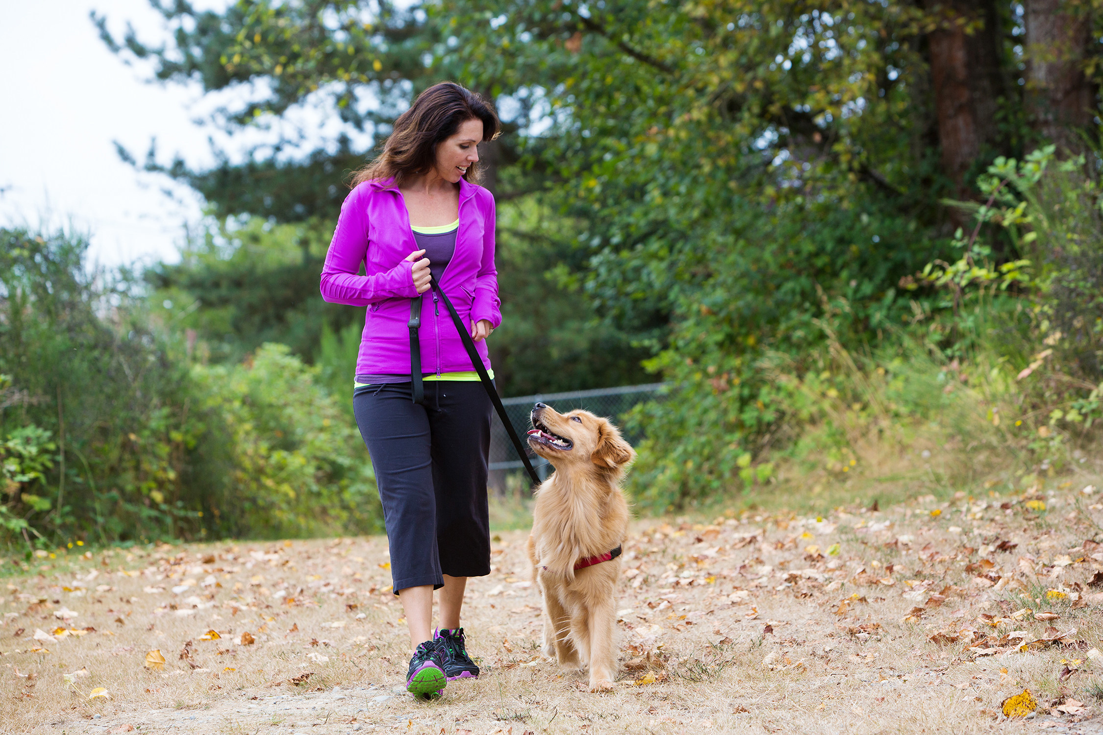 5 Ways To Help Keep Your Dog Happy And Healthy