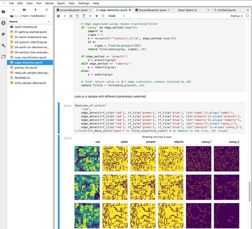 EarthAI Notebook is a fully hosted and managed JuypterLab Notebook designed specifically to analyze raster data at scale, allowing users to unlock insight from geospatial imagery at an unprecedented scale.