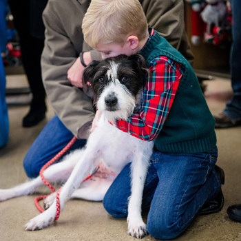 Elliott hugs adopted dog, Bindy, after it's revealed that their story helped Little Victories Animal Rescue Group in West Virginia win a $5,000 grant award.