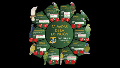 Loro Parque Foundation saves 10 species of parrots from total extinction in the wild