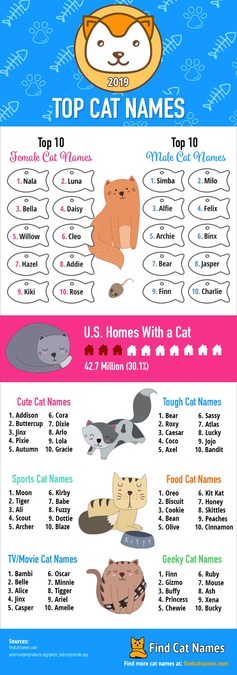 the best cat names ever